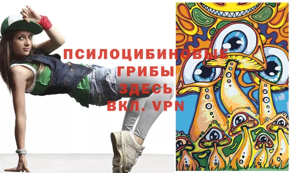 герыч Алексин