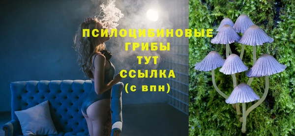 герыч Алексин