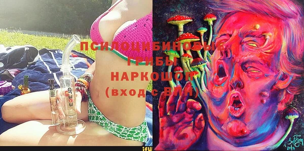 герыч Алексин