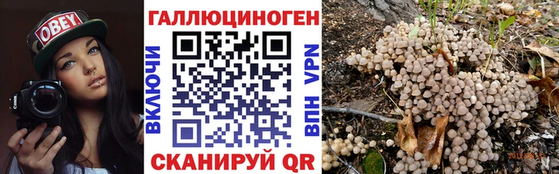 blacksprut рабочий сайт  Елец  Галлюциногенные грибы мухоморы 